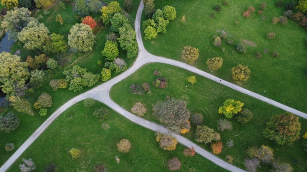 Community Engagement for Urban Forestry Projects